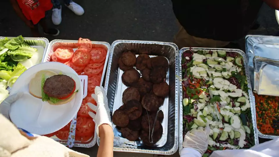 zffeed5k dc 20140704 051