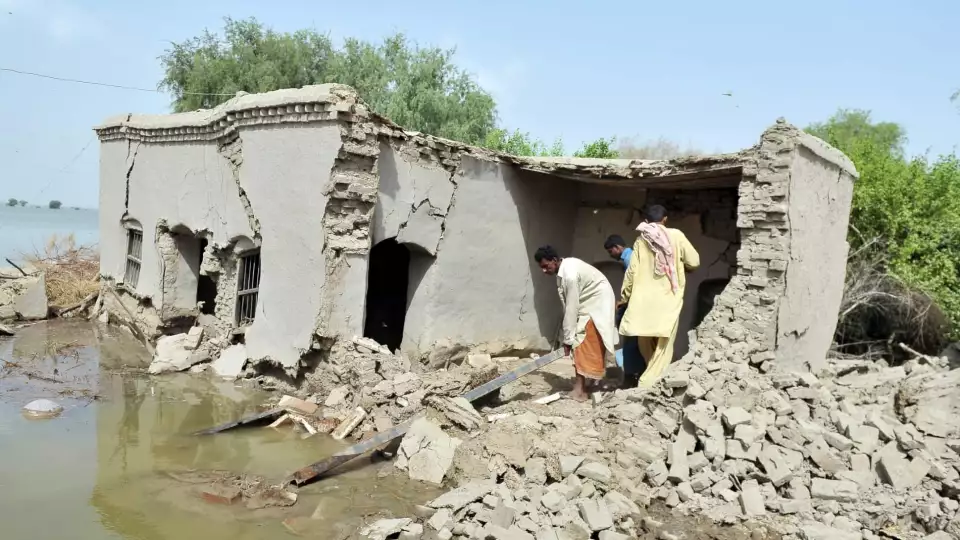 shutterstock 237993910