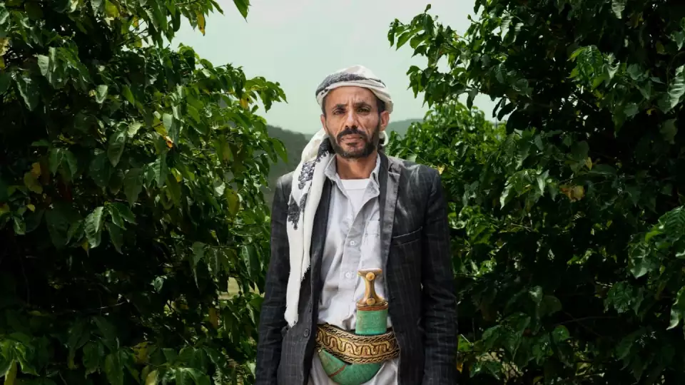 profile in yemen field blog 9 22 22