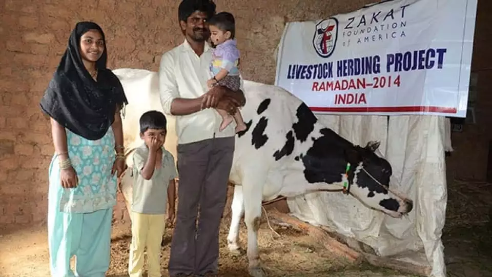 india ramadan livestock distribution 071414  large