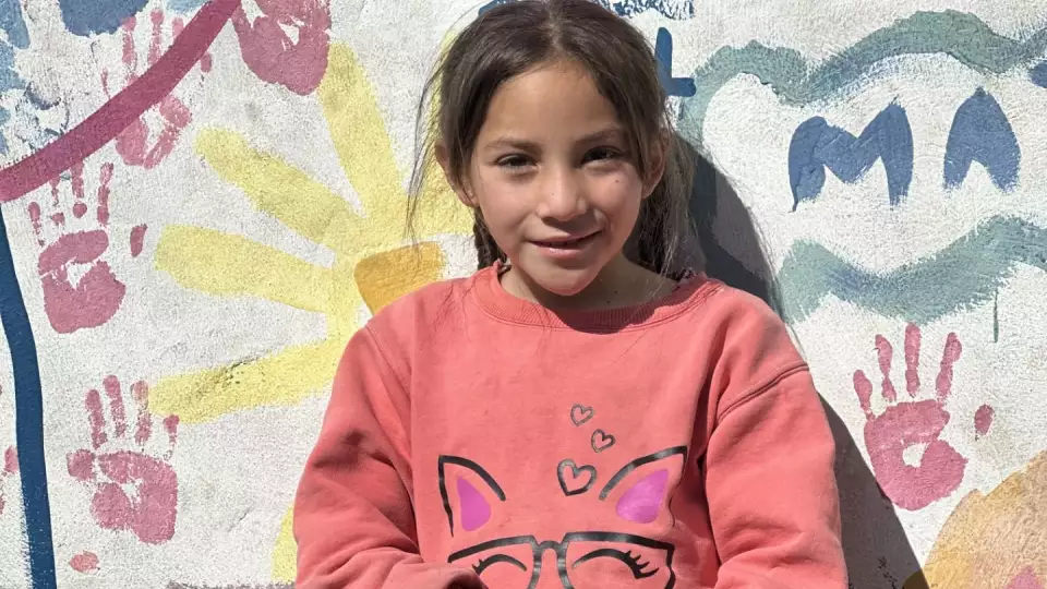 food case study allison