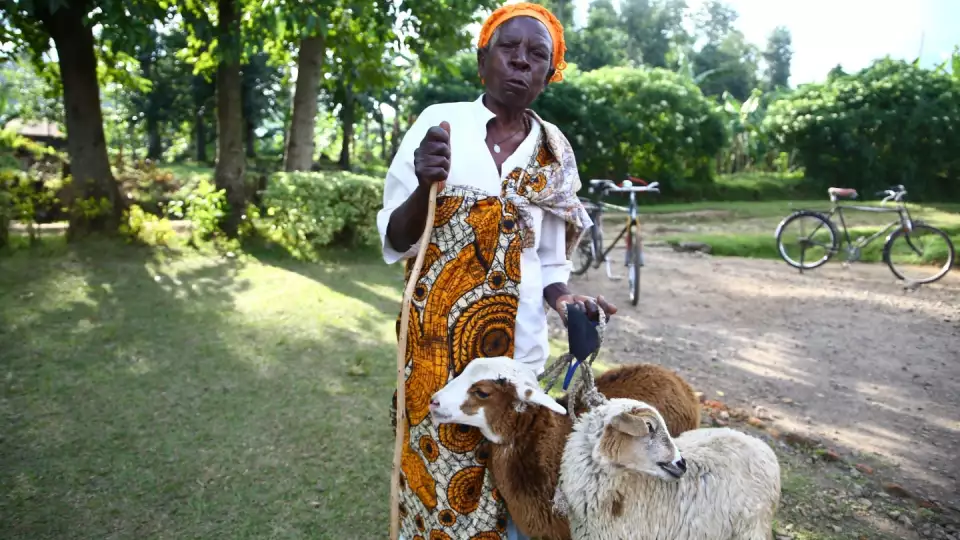 A woman in Rwanda receives a pair of goats from Zakat Foundation of America. This is often the start of providing sustainability by breeding livestock and providing meat, cheese, and milk for their owners