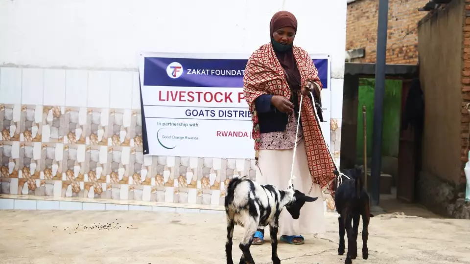 Goats in Mali help create financial security and sustainable living for families and women