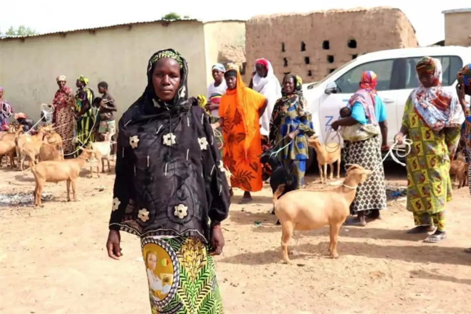 livelihoods case study 2